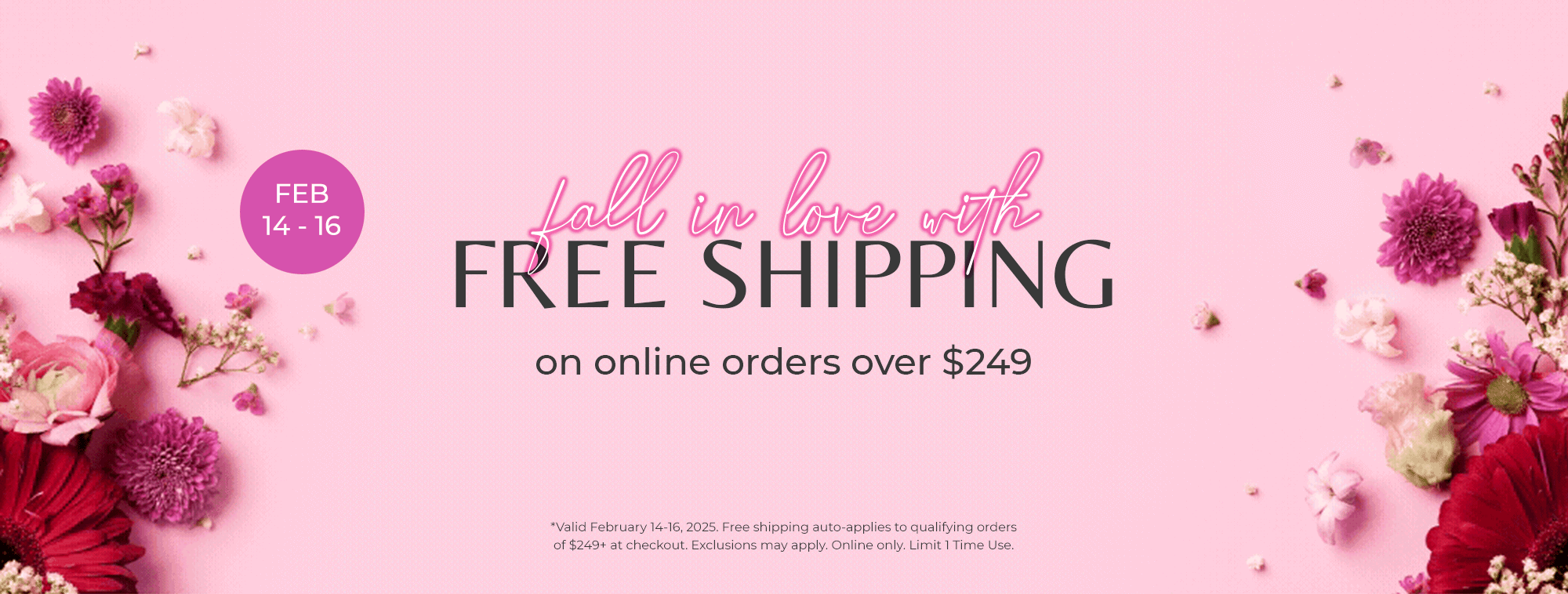 Valentine's Day Free Shipping $249+ (2/14-2/16)