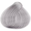 Alfaparf Milano 010.1- Soft Lightest Ash Blonde 2.05 Fl. Oz.