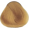 Yellow Professional 9.3- Very Light Golden Blonde 3.4 Fl. Oz.