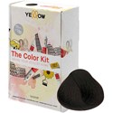 Yellow Professional Home Color Kit 5.32 7 pc.