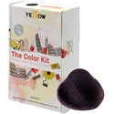 Yellow Professional Home Color Kit 6.53 7 pc.