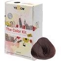 Yellow Professional Home Color Kit 7.35 7 pc.