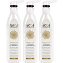Aloxxi Essential 7 Oil BOGO - Shampoo 10.1 oz. 3 pc.