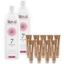 Aloxxi TONES Small Salon Opener 33 pc.