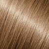 Babe 12- Dottie 18 inch