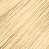 Clairol 12GN- High Lift Gold Neutral Blonde 2 Fl. Oz.