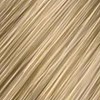 Clairol 8GN- Light Gold Neutral Blonde 2 Fl. Oz.