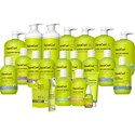 DevaCurl Curls 360 Large Intro Kit 179 pc.