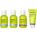 DevaCurl THE ESSENTIALS LIGHT MOISTURE KIT 4 pc.