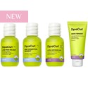 DevaCurl THE ESSENTIALS LIGHT MOISTURE KIT 4 pc.
