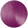 Duomo PP+ Ultra Pink Pink 2 Fl. Oz.