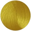 Duomo YY+ Ultra Yellow Yellow 2 Fl. Oz.
