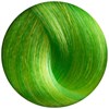 Duomo Absinthe Neon Green 3.4 Fl. Oz.