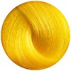 Duomo Lemon Bourbon Yellow 3.4 Fl. Oz.