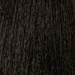Eugene Perma Professional 1- Black 2.03 Fl. Oz.