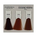 Eugene Perma Professional Carmen Ton sur Ton Swatch Insert