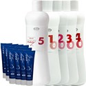 Lisap Milano Buy 12 Easy Absolute 3 Shades, Get Developer FREE! 13 pc.