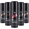 Lisap Milano Root Concealer