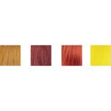 Milbon Pumpkin Spice Demi Color Kit 6 pc.