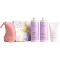 NAK Hair Platinum Blonde Trio 4 pc.