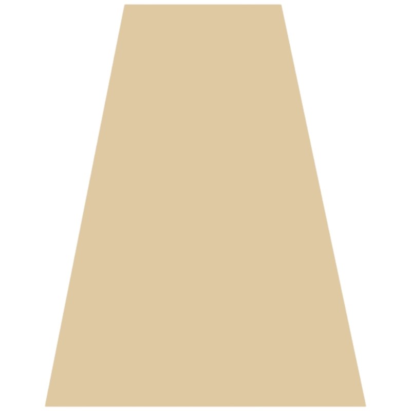 NAK Professional 8G- Goldie 2.03 Fl. Oz./60ml