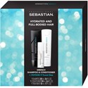 Sebastian Hydrate Box 3 pc.