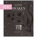 Surface Hair AWAKEN HOLIDAY TRAVEL BOX SET 3 pc.