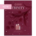 Surface Hair TRINITY HOLIDAY BOX SET 3 pc.