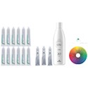 Tocco Magico Permanent Hair Color Kit 17 pc.