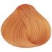 Truss 9.34- Very Light Blonde Golden Copper 2.11 Fl. Oz.