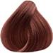Truss 6.47- Dark Copper Chestnut Blonde 2.11 Fl. Oz.