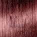 Truss 6.66- Dark Intense Red Blond 2.11 Fl. Oz.