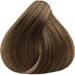 Truss 7.0- Medium Blonde 2.11 Fl. Oz.