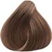 Truss 7.7- Medium Chestnut Blonde 2.11 Fl. Oz.