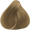 Truss 9.31- Very Light Golden Beige Blonde 2.11 Fl. Oz.
