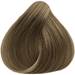 Truss 10.72- Almond Beige 2.11 Fl. Oz.
