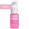 Verb dry shampoo powder 2 Fl. Oz.