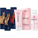 Wella Holiday Looks - Small 8 pc.
