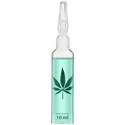 Wellness Premium Products Hydrating Hemp Oil Ampoule 0.33 Fl. Oz.