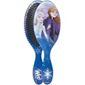 Wet Brush Disney Frozen II Collection - Anna & Elsa